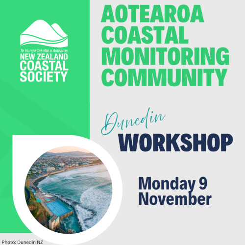 ACMC Dunedin Workshop November 1