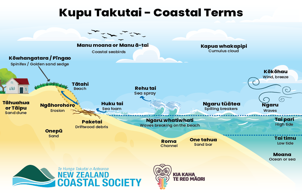 Coastal profile small 02